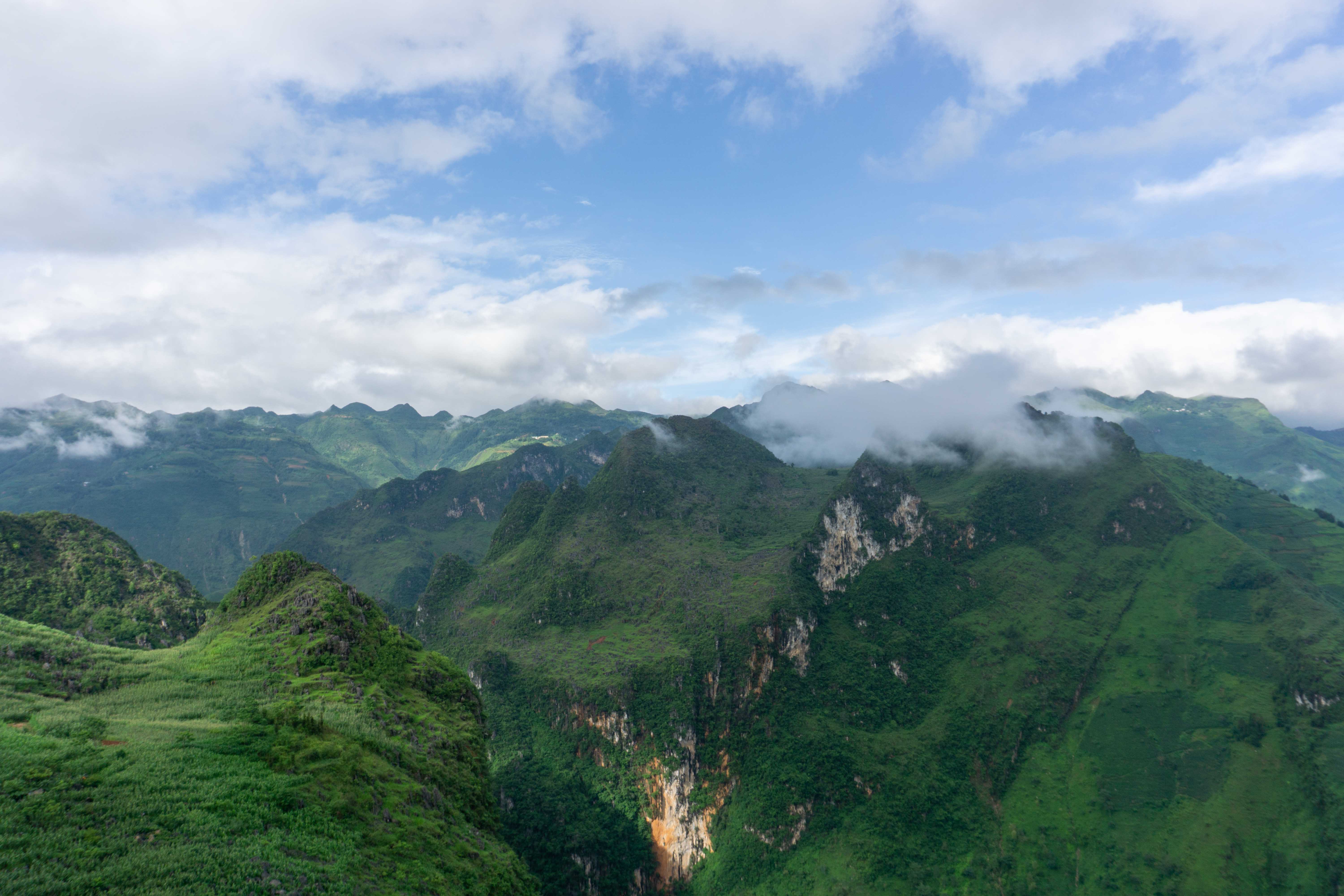 Paysage vert